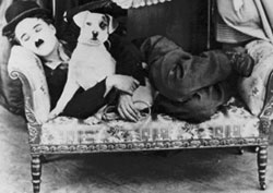 20050927110047-vidadeperros.jpg
