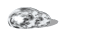 20060724123138-fisica-001.gif