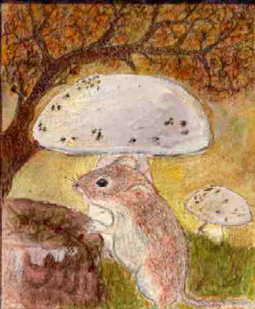 Ratoncillo.jpg