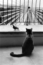 bresson_05.jpg
