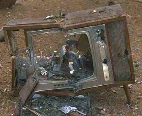 1tv.jpg
