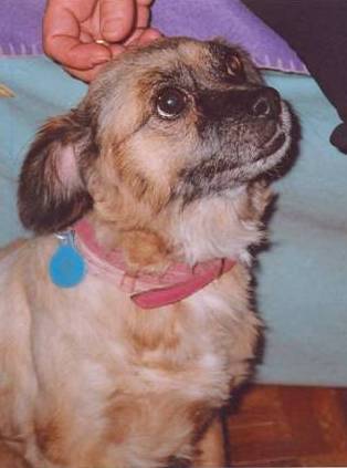 20060327000119-jackie1.jpg