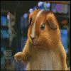 20080508012225-holabobos7mo.gif