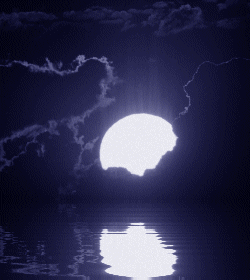 20080526202054-lunallena.gif