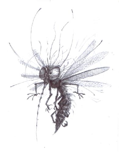 20110725125515-mosquito-jose-frigerio.jpg